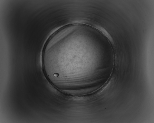 X0000099981036200806061519