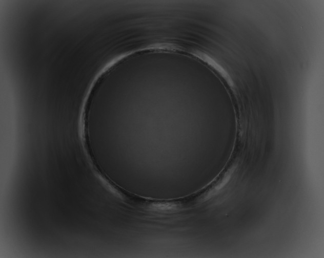 X0000099981037200806061519