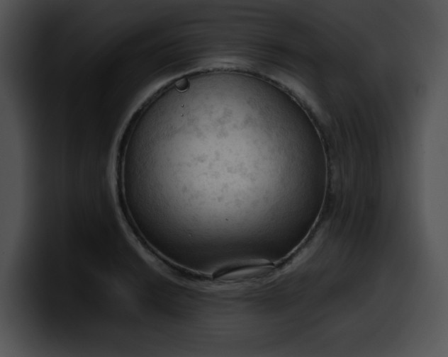 X0000099981038200806061519