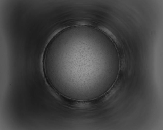 X0000099981039200806061519