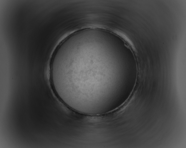 X0000099981040200806061519