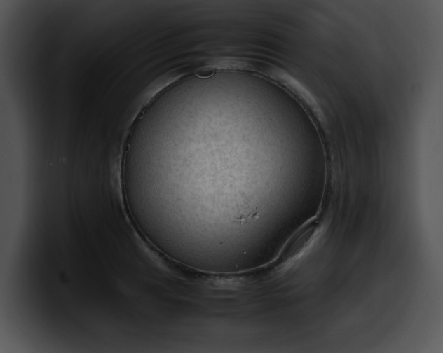 X0000099981041200806061519