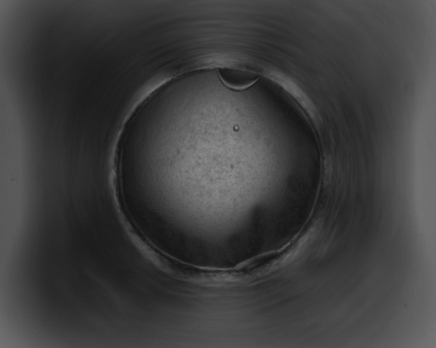 X0000099981042200806061519