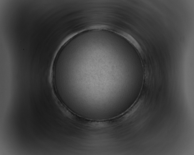 X0000099981044200806061519