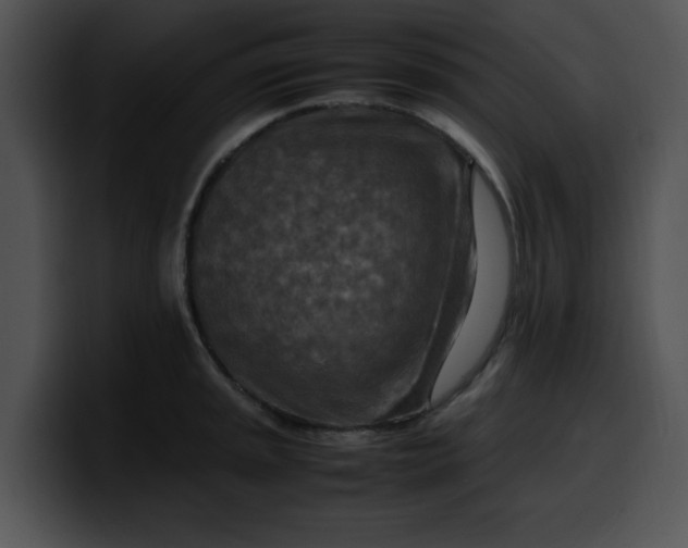 X0000099981045200806061519