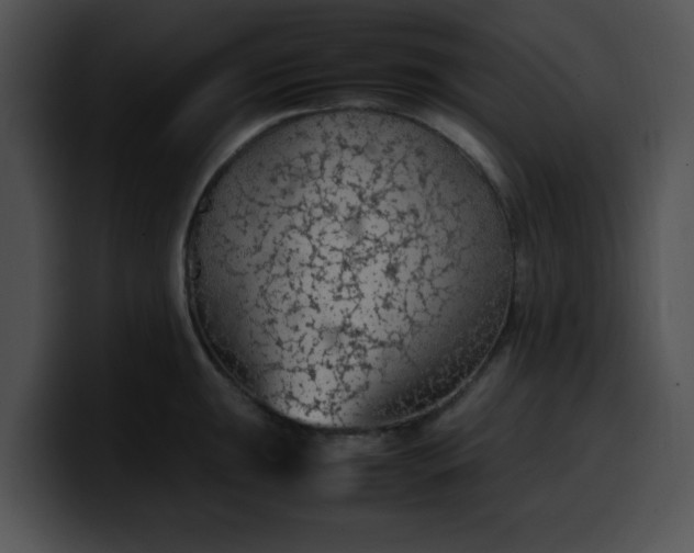 X0000099981047200806061519