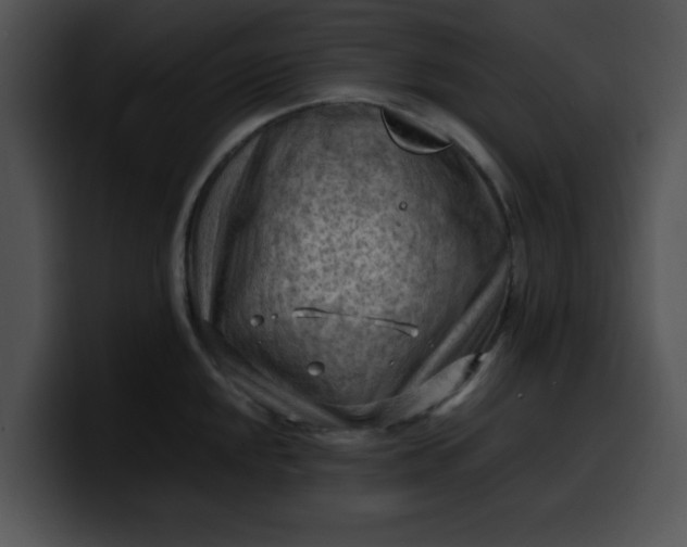 X0000099981048200806061519