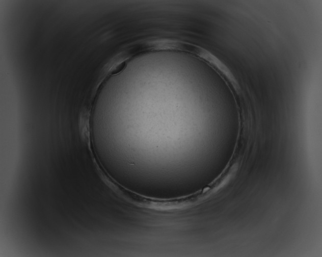 X0000099981049200806061519