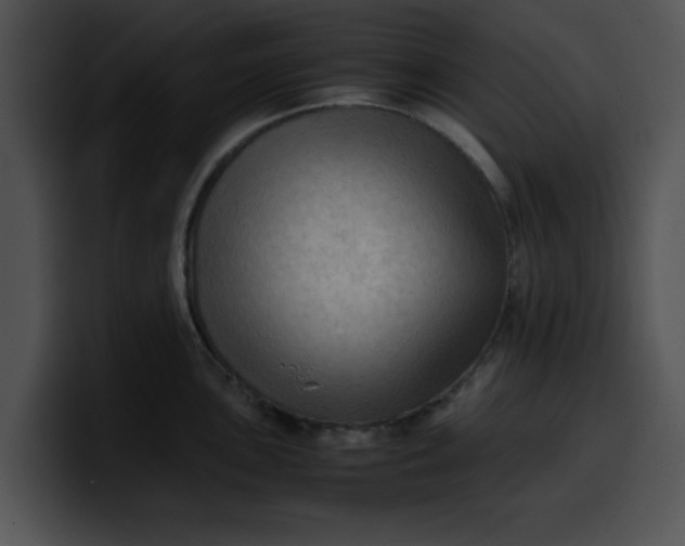 X0000099981051200806061519