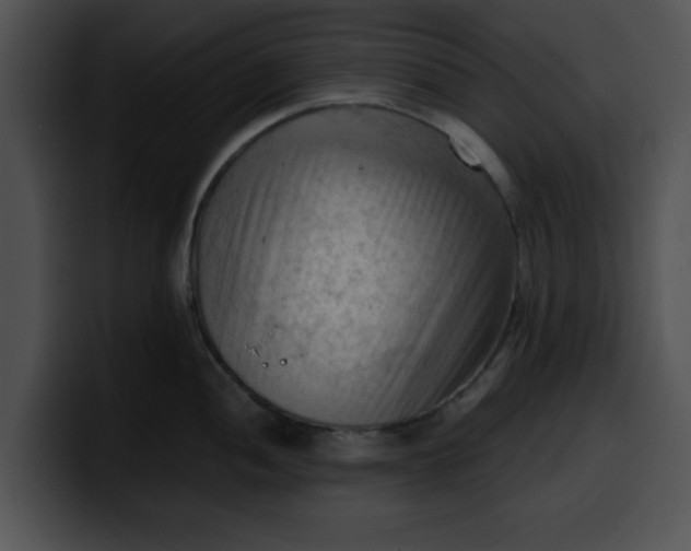 X0000099981052200806061519