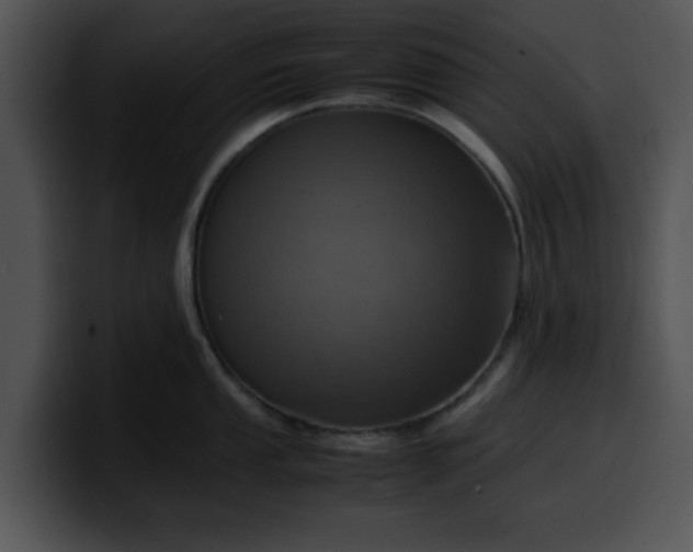 X0000099981053200806061519