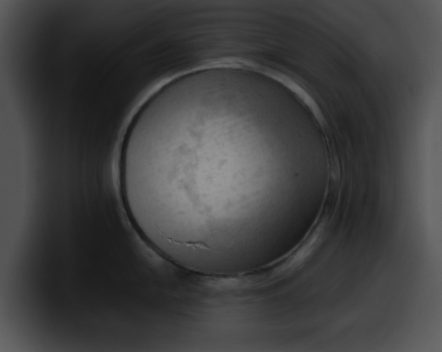 X0000099981054200806061519