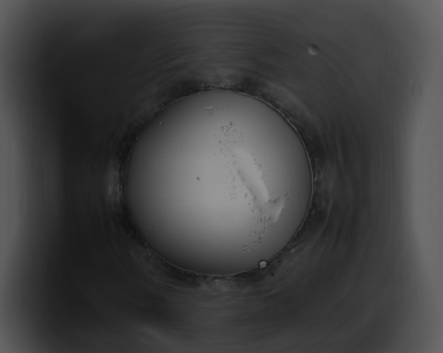 X0000099981058200806061518