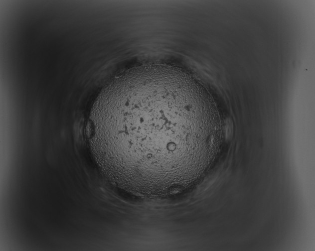 X0000099981059200806061518