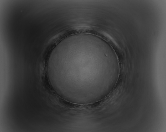 X0000099981063200806061518