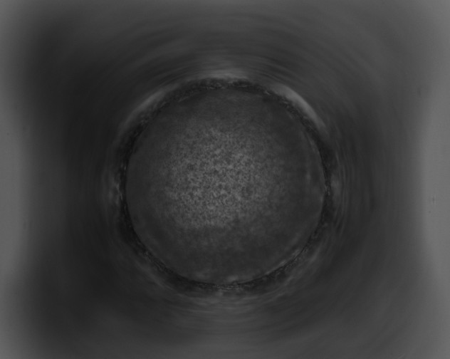 X0000099981064200806061518