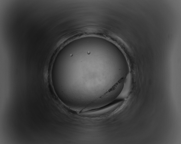 X0000099981065200806061518