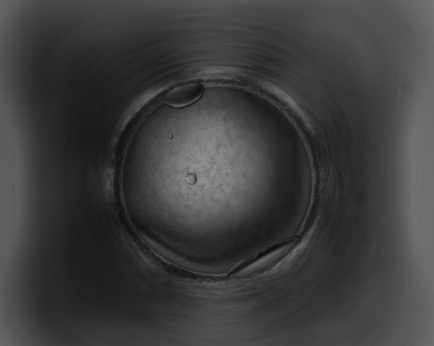 X0000099981066200806061518