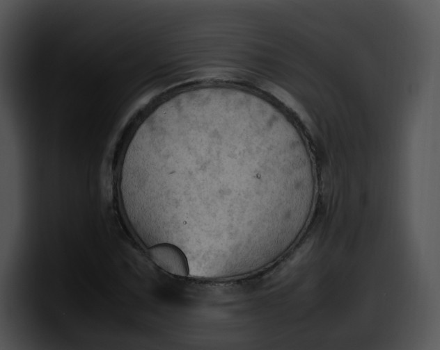 X0000099981067200806061518