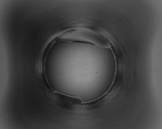 X0000099981069200806061518