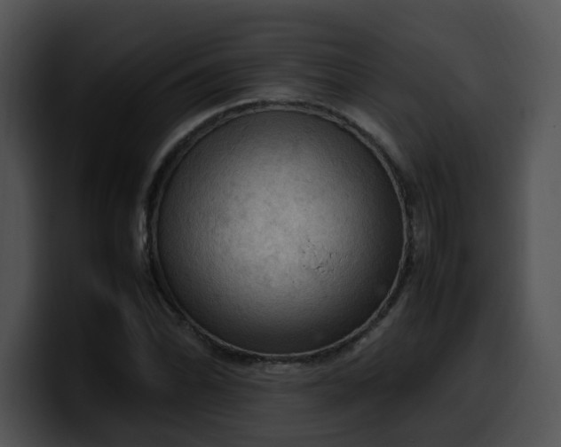 X0000099981070200806061518