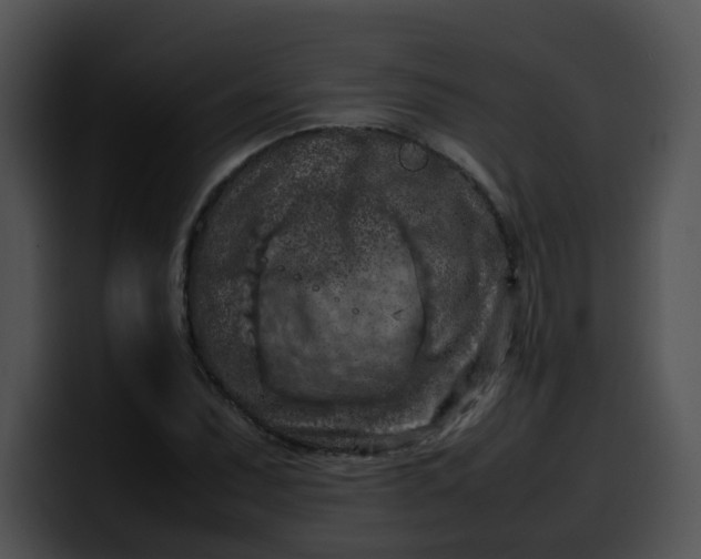 X0000099981071200806061518