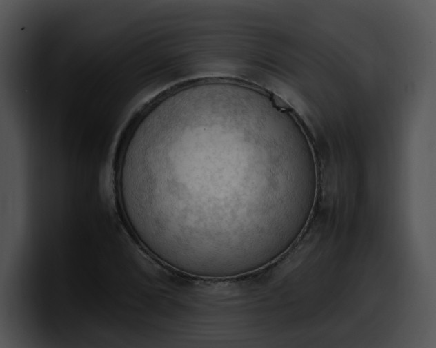 X0000099981072200806061518