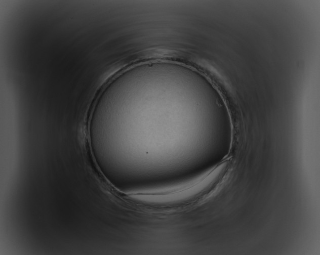 X0000099981073200806061518