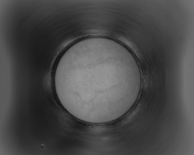 X0000099981074200806061518