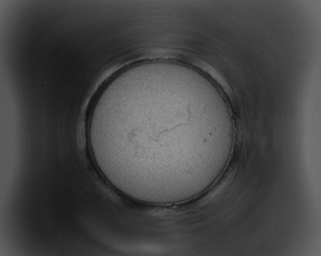 X0000099981075200806061518