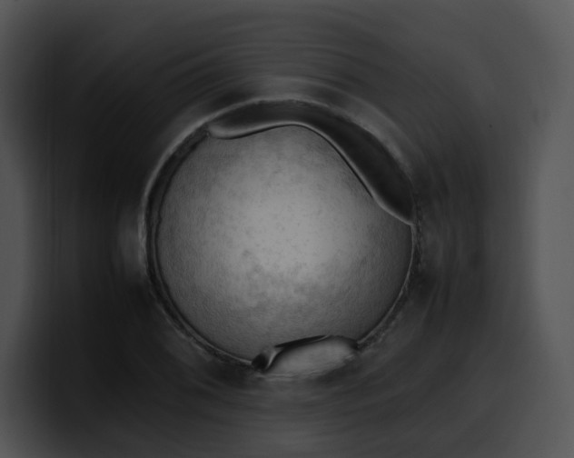 X0000099981076200806061518