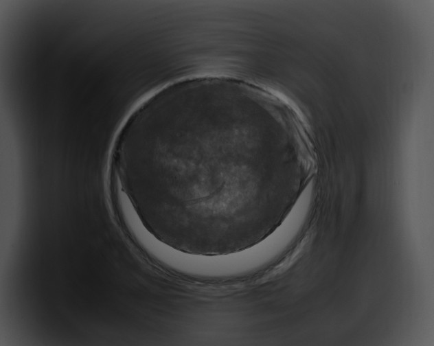 X0000099981077200806061518