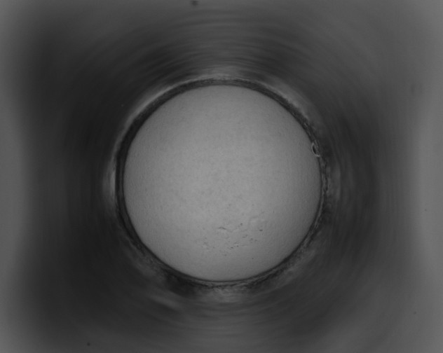 X0000099981078200806061518