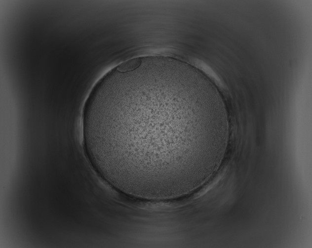 X0000099981079200806061518