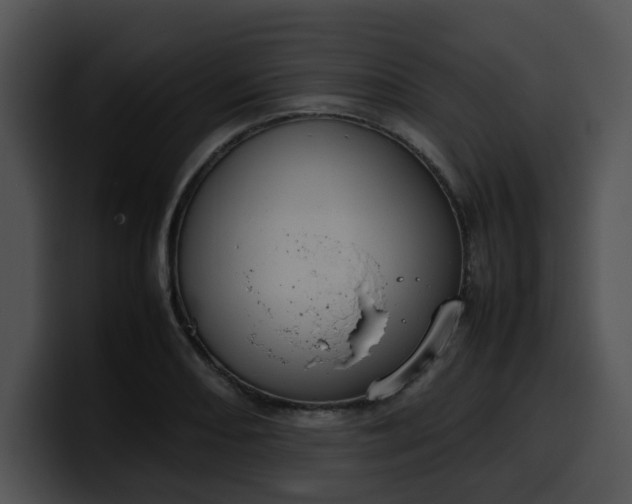 X0000099981082200806061518