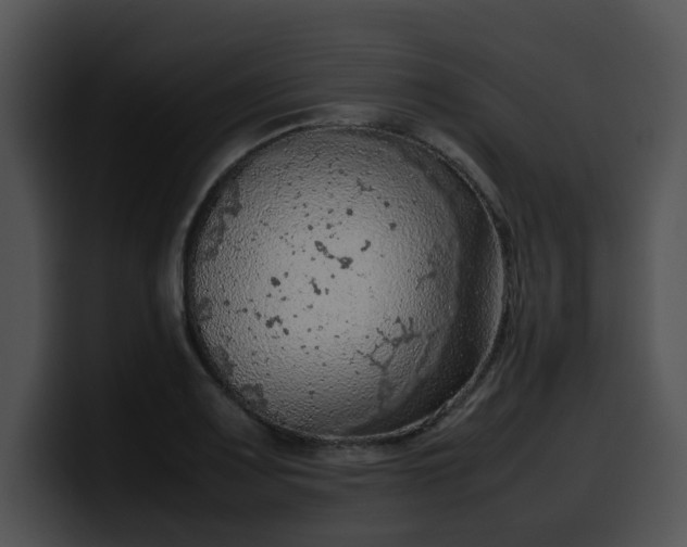 X0000099981083200806061518