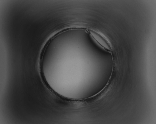 X0000099981085200806061518