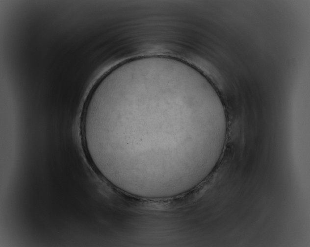 X0000099981086200806061518