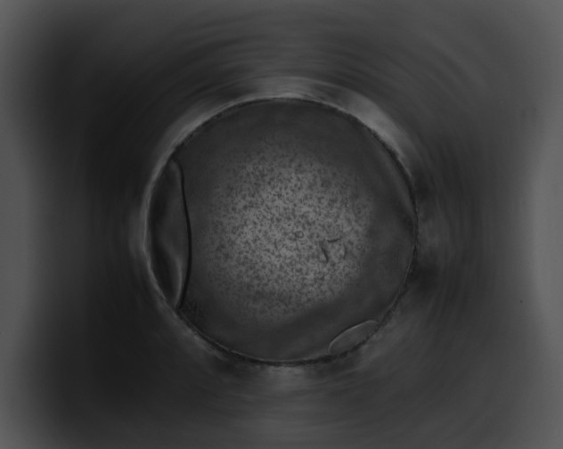 X0000099981088200806061518