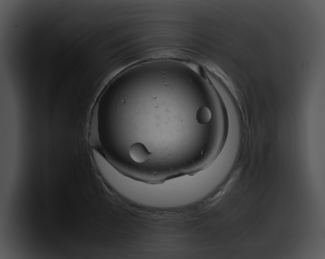 X0000099981089200806061518