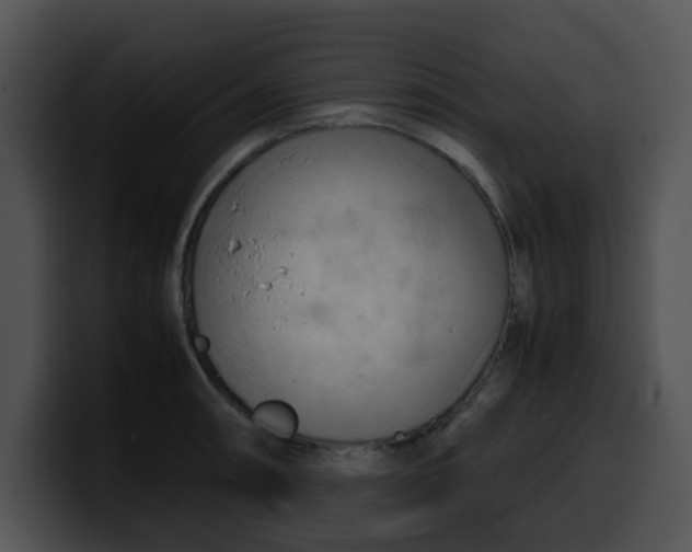 X0000099981090200806061518