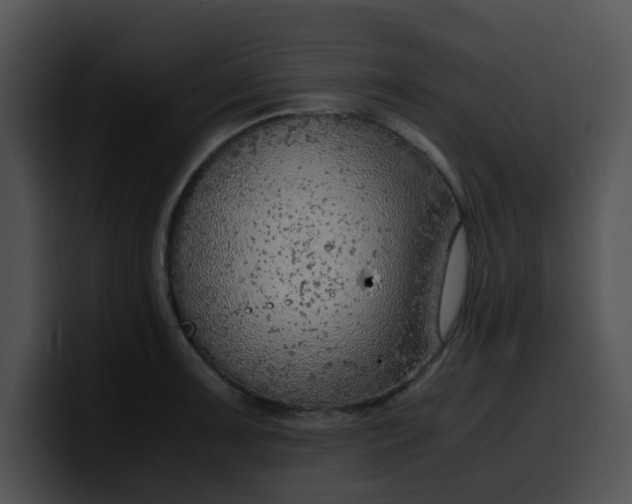 X0000099981091200806061518