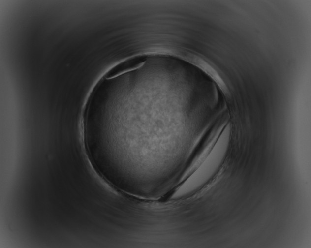 X0000099981092200806061518