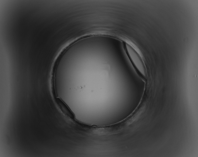 X0000099981093200806061518