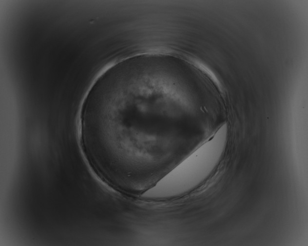 X0000099981095200806061518