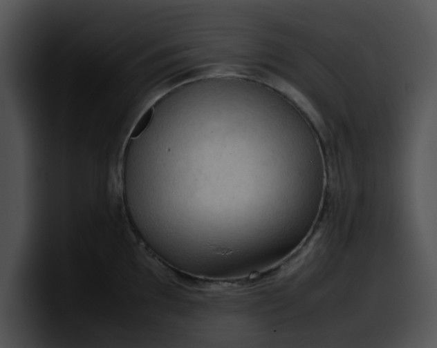 X0000099981097200806061518