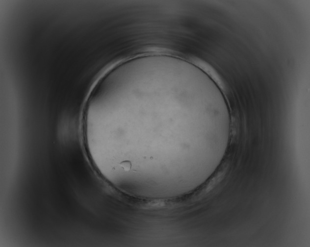 X0000099981098200806061518