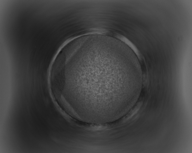 X0000099981099200806061518