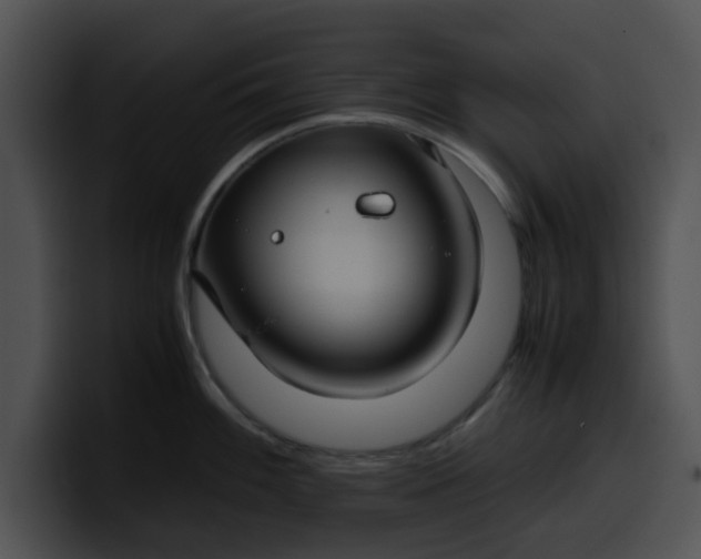 X0000099981100200806061518