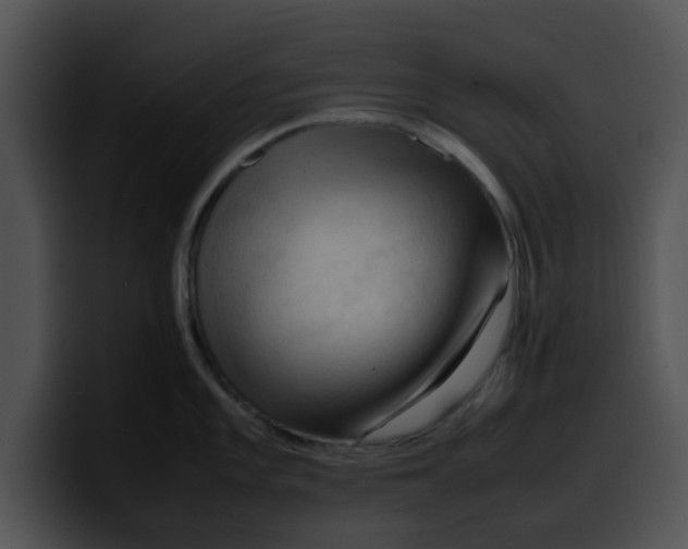 X0000099981101200806061518